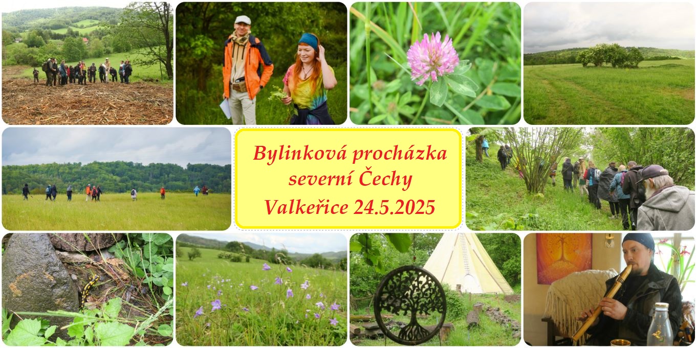 bylinko botanicka prochazka valkerice 2025