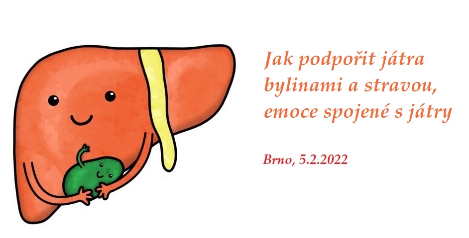 jatra a zlucnik brno opraveno emoce