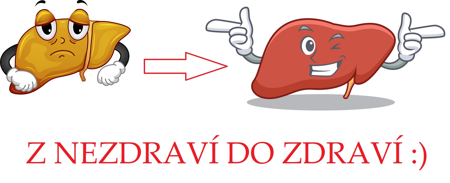 Játra žlučník byliny bylinky léčivé rostliny strava jídlo potraviny