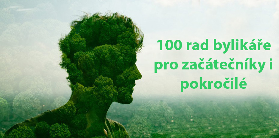 100 rad, tipů a zkušeností bylinkáře pro začátečníky i pokročilé