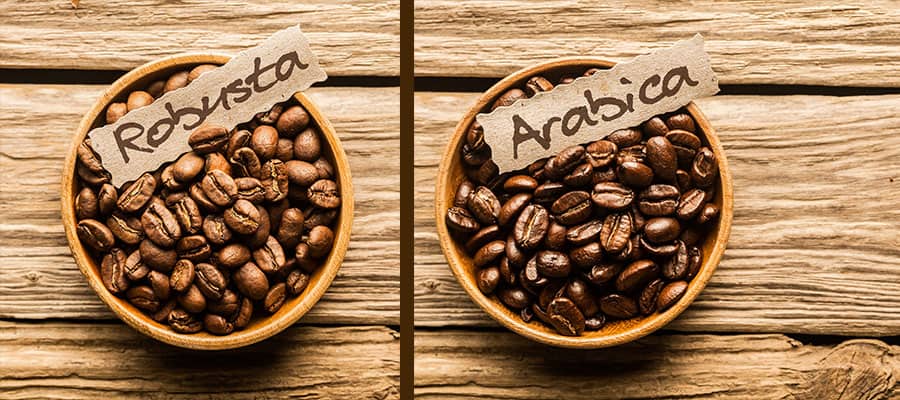 Arabica robusta rozdíl