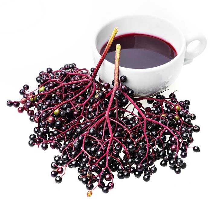 bezovy-bezinkovy-liker-liker-z-kulicek-bezu-cerneho-recept-postup-navod-vyroba-suroviny-3