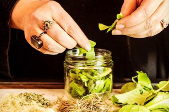 Bylinkový, bylinný elixír pro dlouhý život, dlouhověkost