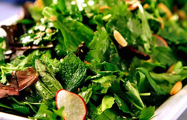 Byliny vhodné do salátů - endivie, dubáček, rukola, roketa, polníček, barborka, lebeda, batolka, mizuna, mibuna, komatsuna, maiko, perila