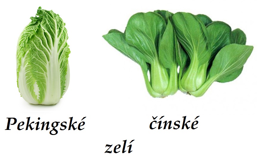 Čínské zelí, pekingské zelí - účinky na zdraví, co léčí, použití, užívání, využití, pěstování, škůdci a nemoci zelí