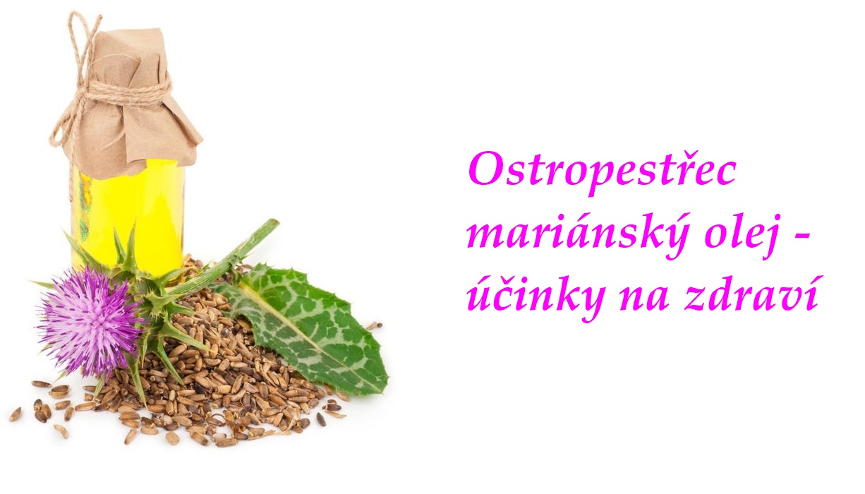 Ostropestřecový olej - účinky na zdraví
