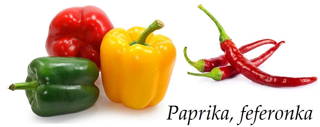 paprika feferonka feferony ucinky na zdravi co leci pouziti uzivani vyuziti pestovani skudci a nemoci paprik