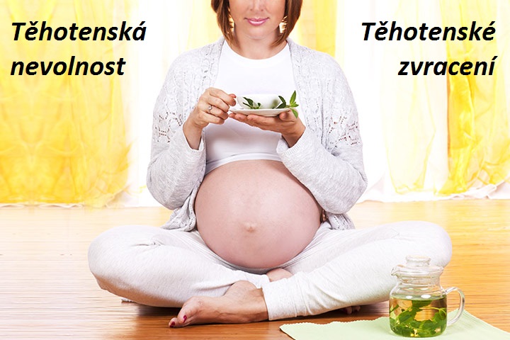 Těhotenská nevolnost, těhotenské zvracení - byliny, bylinky, přírodní léčba bez léků, aromaterapie
