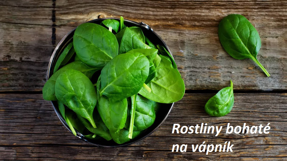 Vápník v bylinách, bylinkách rostlinách - které potraviny a rostliny jsou bohaté na vápník