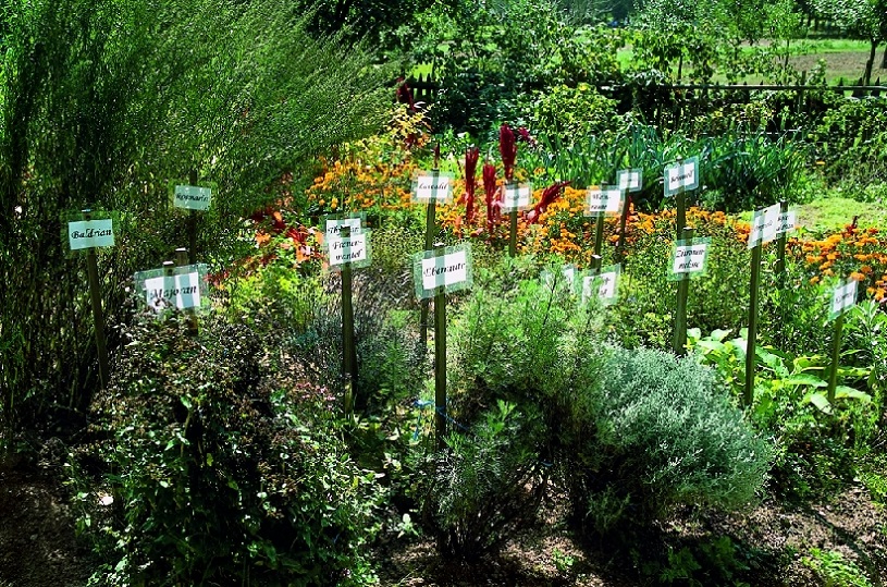 Veřejné bylinkové zahrady v ČR - seznam všech veřejně přístupných bylinkových zahrad v České republice