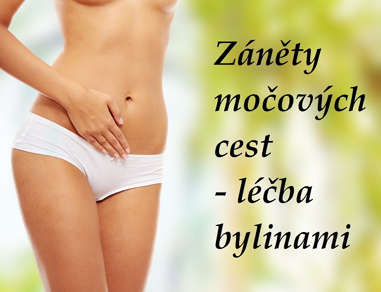 Zánět močových cest, močového měchýře - byliny, bylinky, babské rady, čaje, tinktury, obklady, koupele