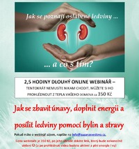 online kurz jak se zbavit unavy doplnit energii a posilit ledviny pomoci bylin a stravy