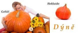 dyne ucinky na zdravi co leci pouziti uzivani vyuziti pestovani skudci a nemoci brambor