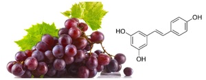 Resveratrol byliny bylinky zdraví